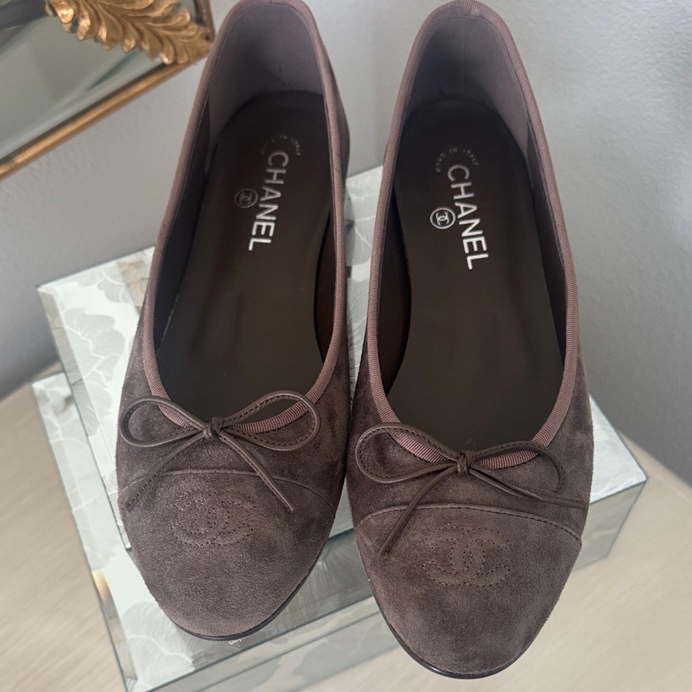 Dark Brown / Mocha CC Suede Flats